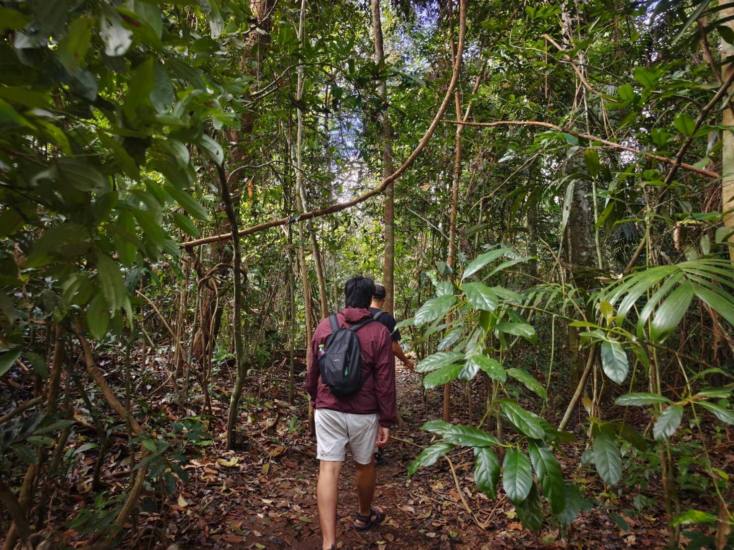 Nong Phak Chi trail 1