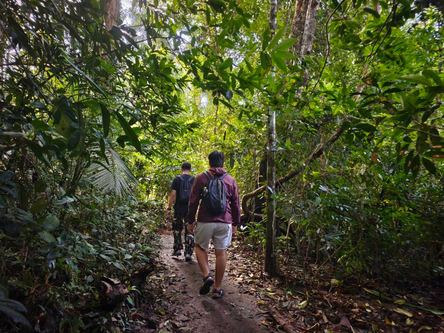Nong Phak Chi trail 2