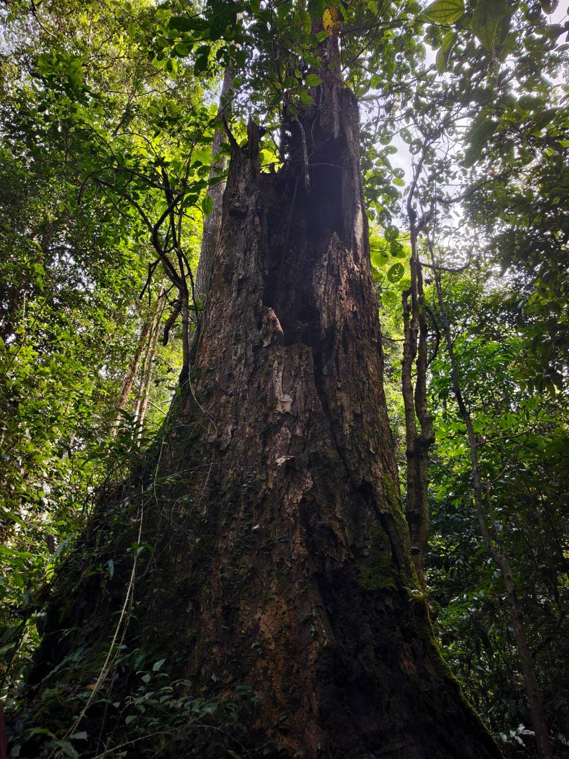 Nong Phak Chi trail 6