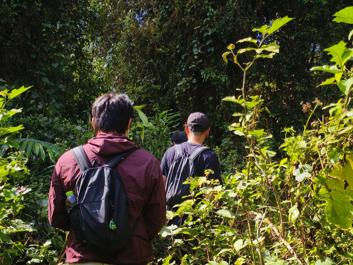 Nong Phak Chi trail 8