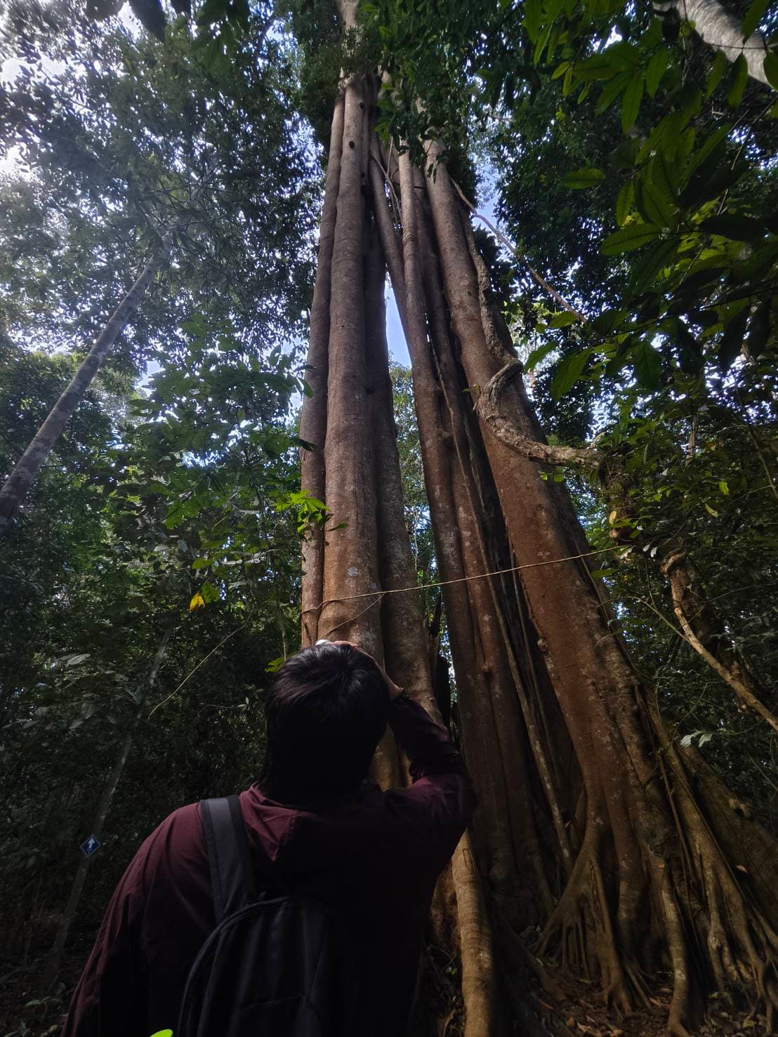Nong Phak Chi trail 12