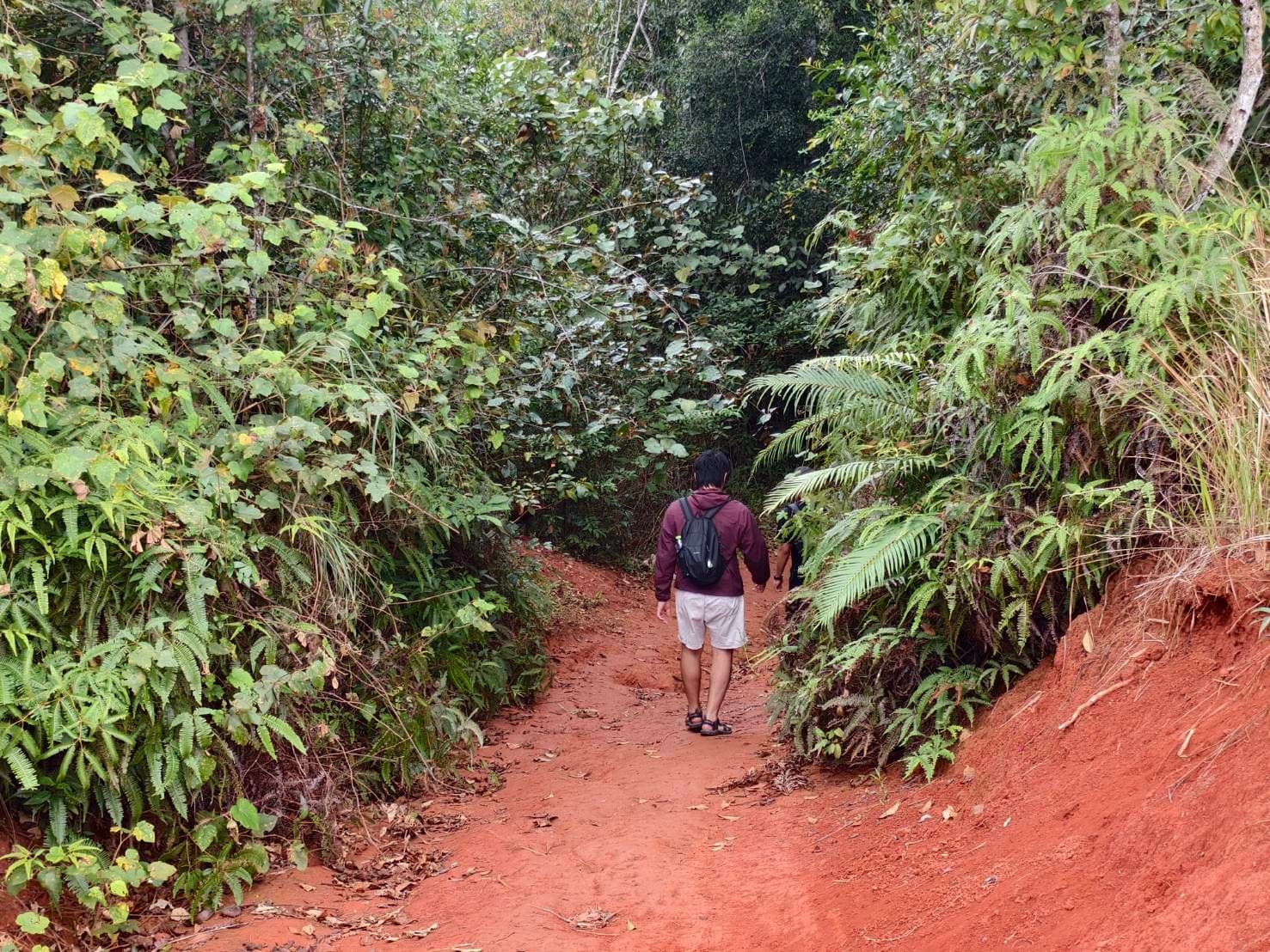 Nong Phak Chi trail 15
