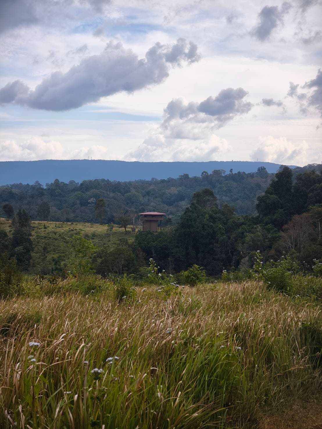 Nong Phak Chi trail 18