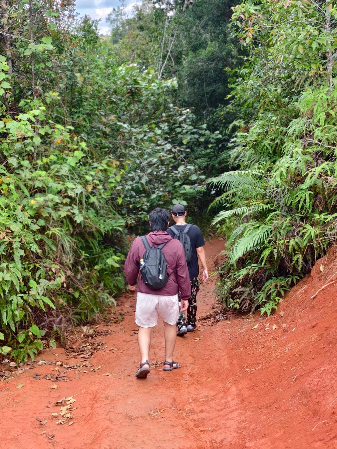 Nong Phak Chi trail 19