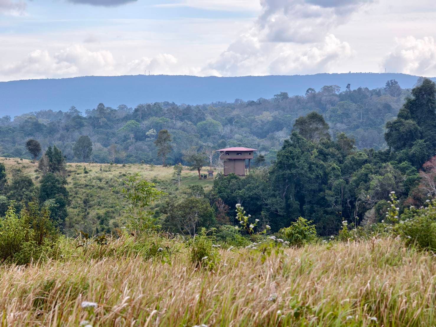 Nong Phak Chi trail 20