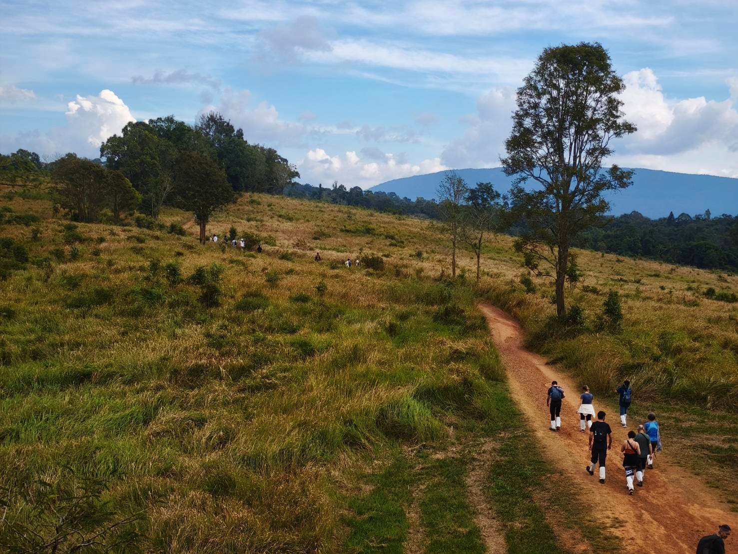 One Day Trip -Khao Yai National Park (UNESCO World Heritage) 9
