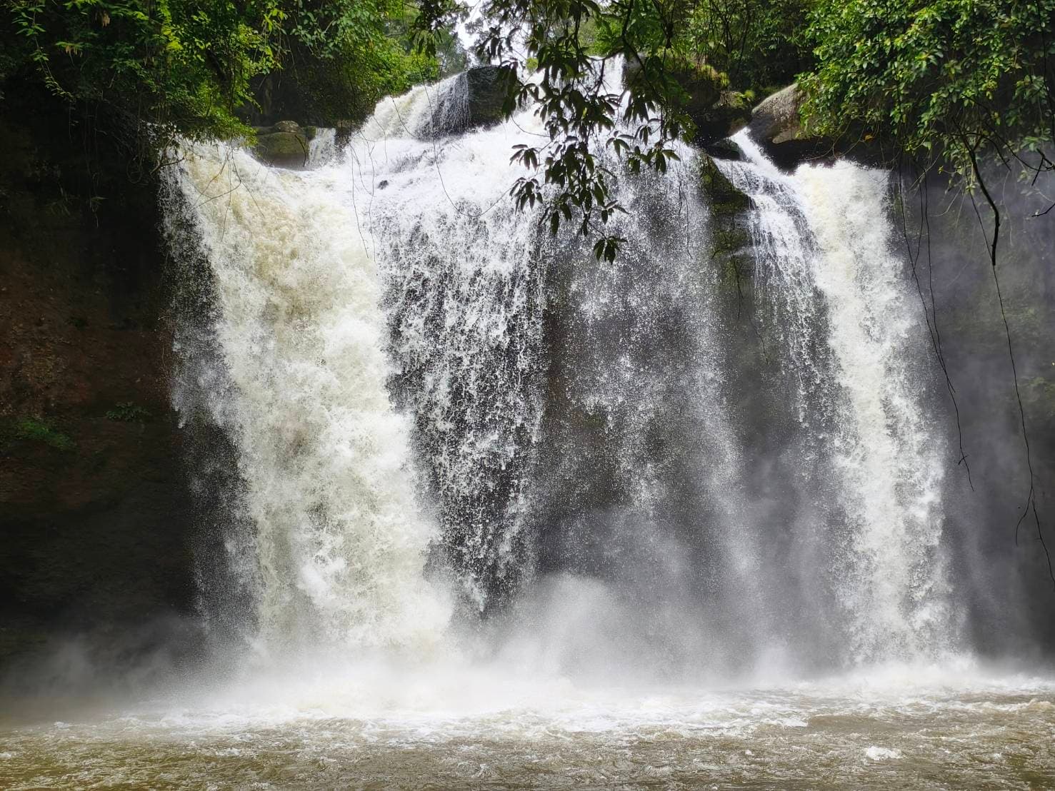 Nakhon Nayok → Khao Yai National Park (UNESCO World Heritage experience) One Day Trip 1