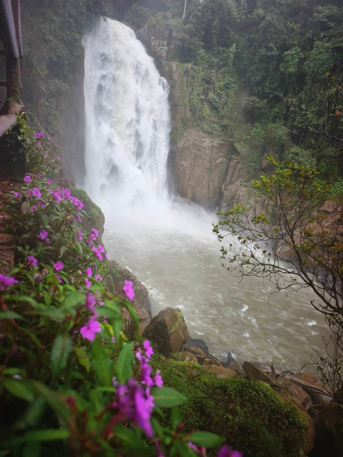 Nakhon Nayok → Khao Yai National Park (UNESCO World Heritage experience) One Day Trip 11