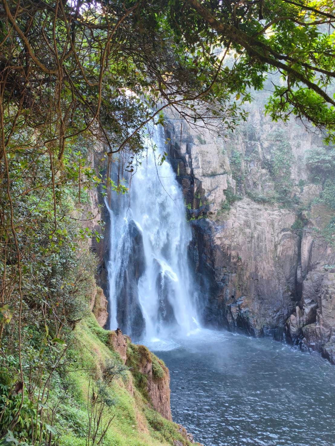 Nakhon Nayok → Khao Yai National Park (UNESCO World Heritage experience) One Day Trip 25