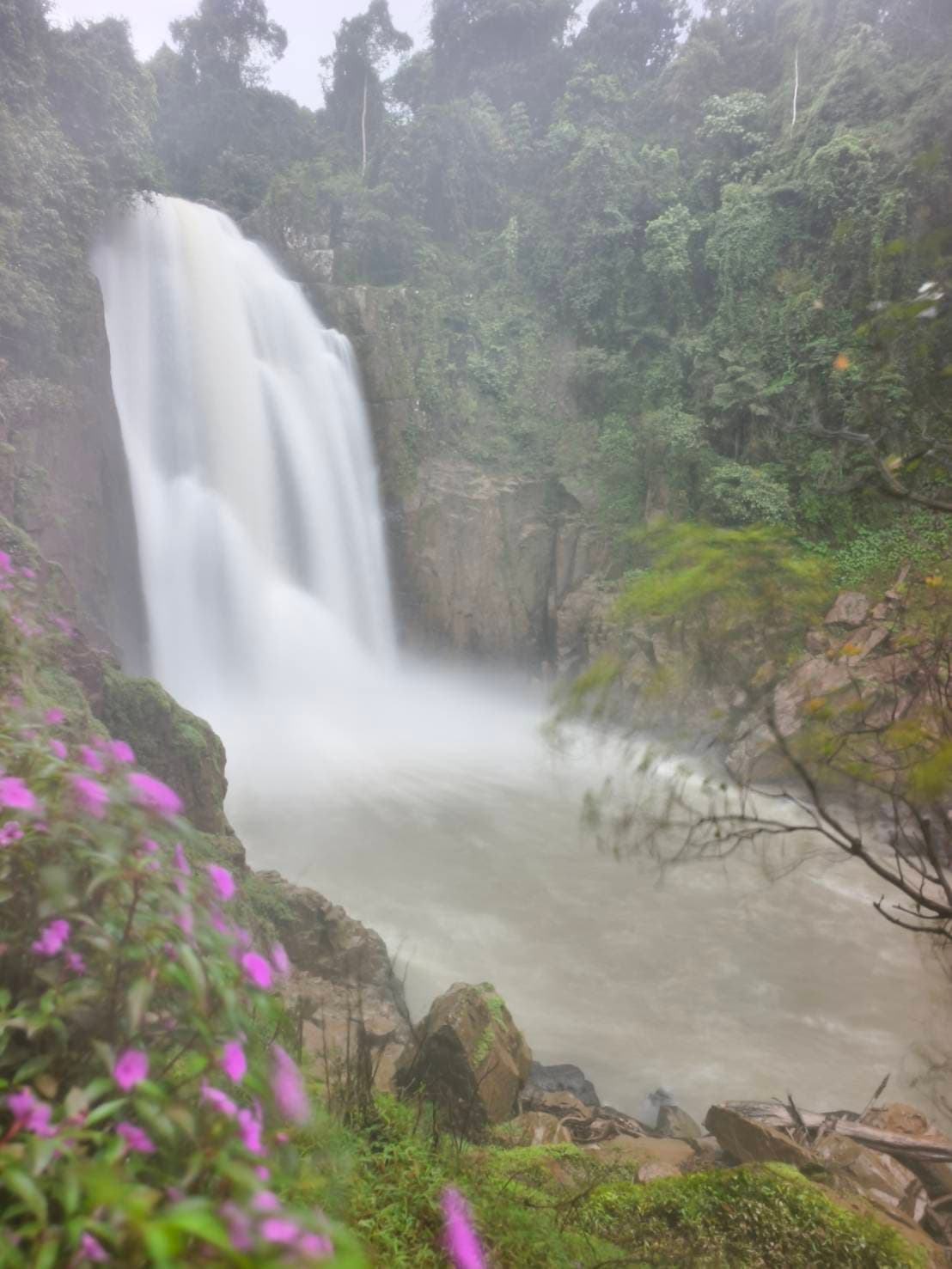 Khao Yai Experience (Unesco) World Heritage. 8