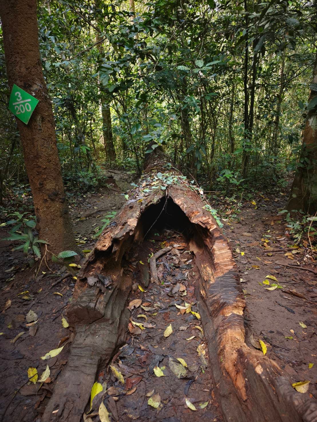 Khao Yai Experience (Unesco) World Heritage. 59