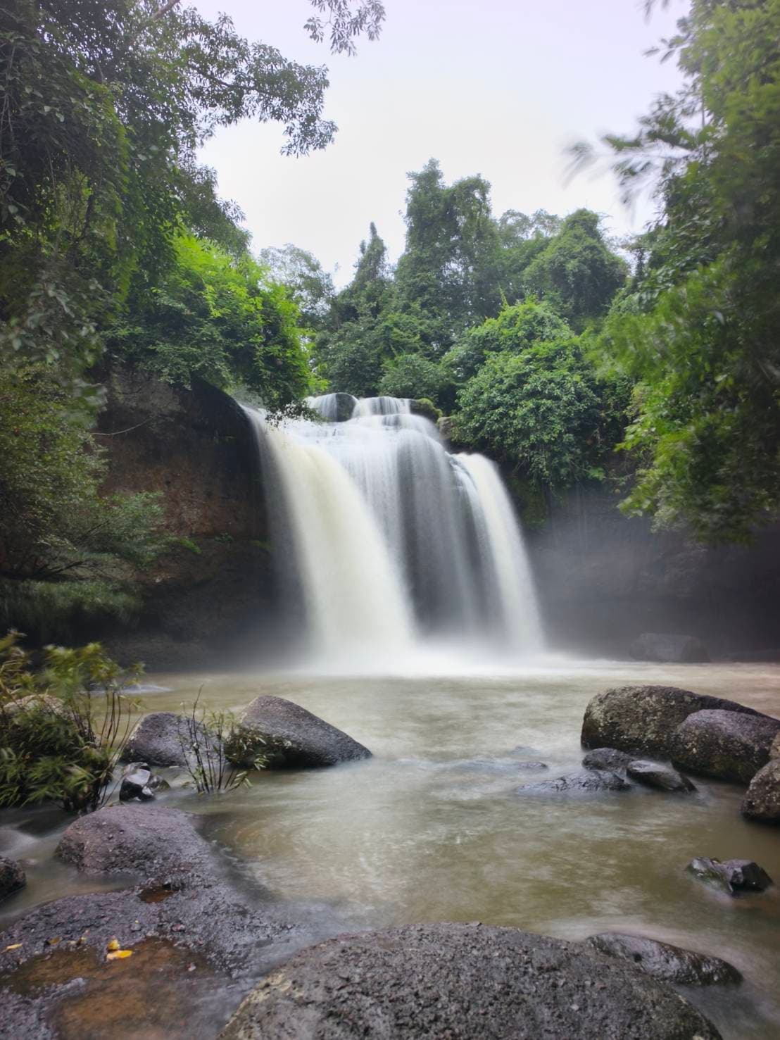 Bangkok → Khao Yai National Park (UNESCO World Heritage experience) One Day Trip 2