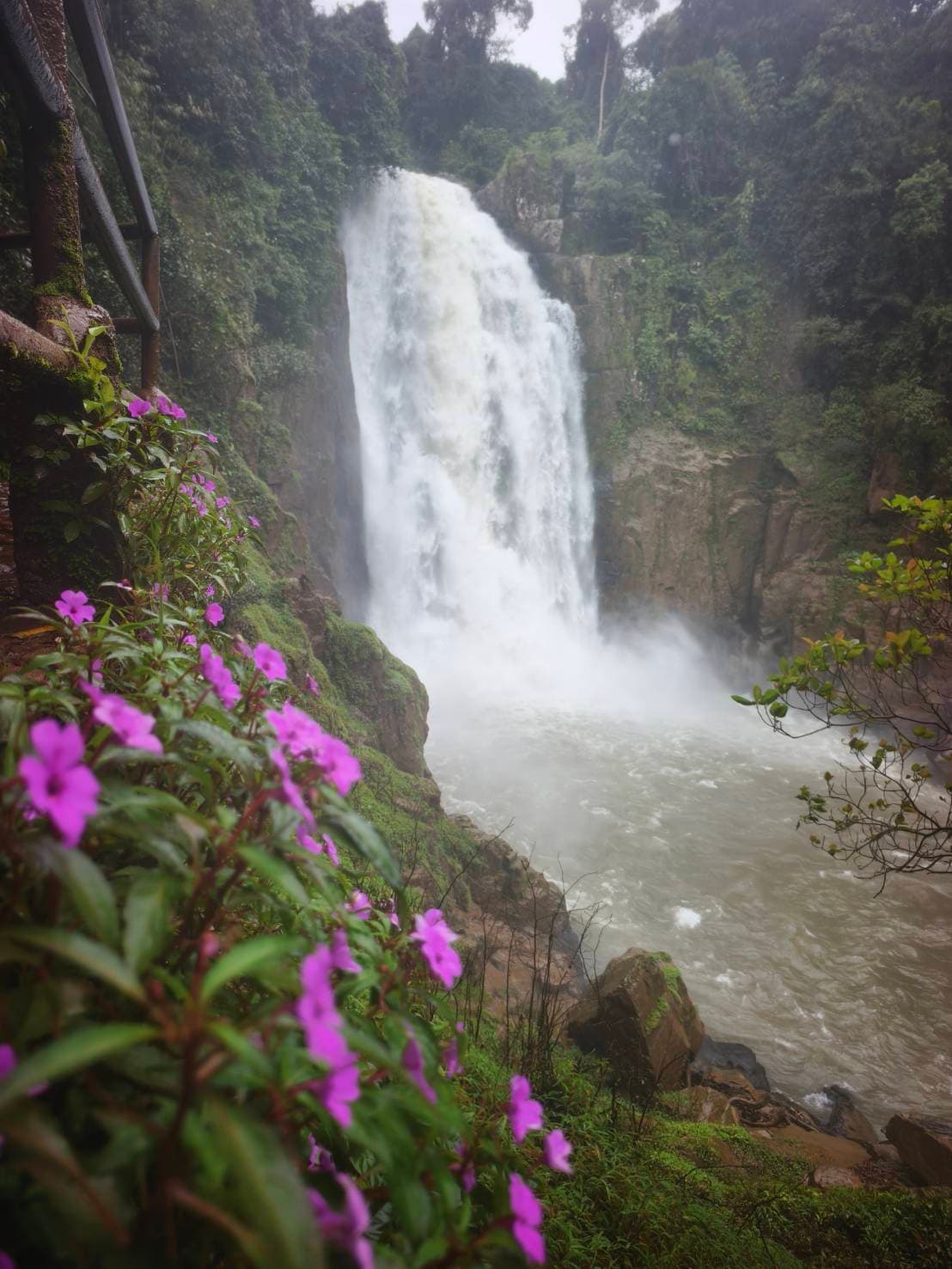 Bangkok → Khao Yai National Park (UNESCO World Heritage experience) One Day Trip 4