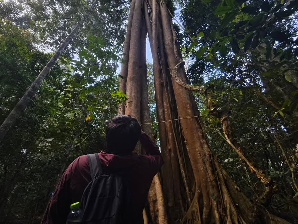 Khao Yai rainforest and nature escape near Bangkok