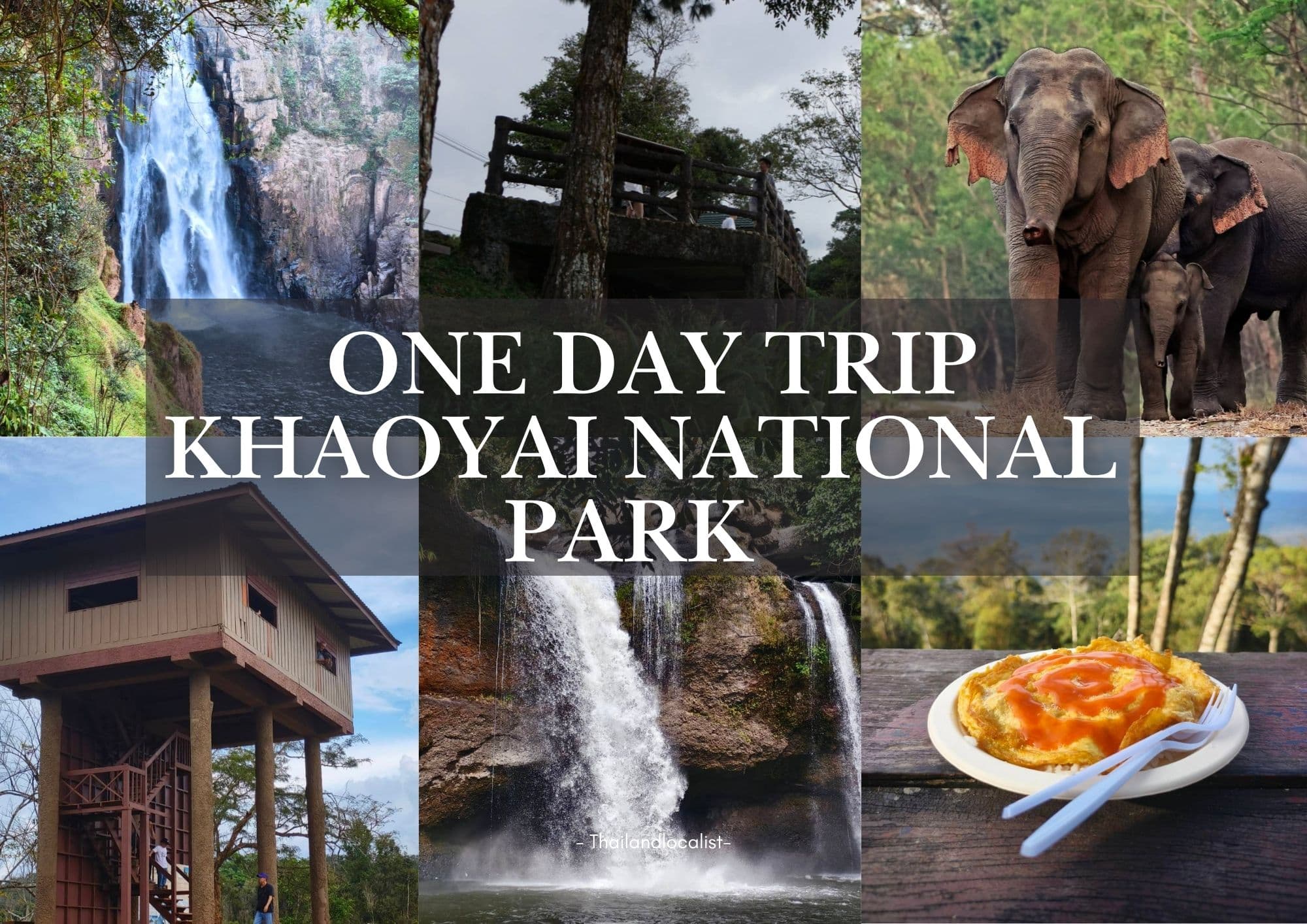 One Day Trip -Khao Yai National Park (UNESCO World Heritage)