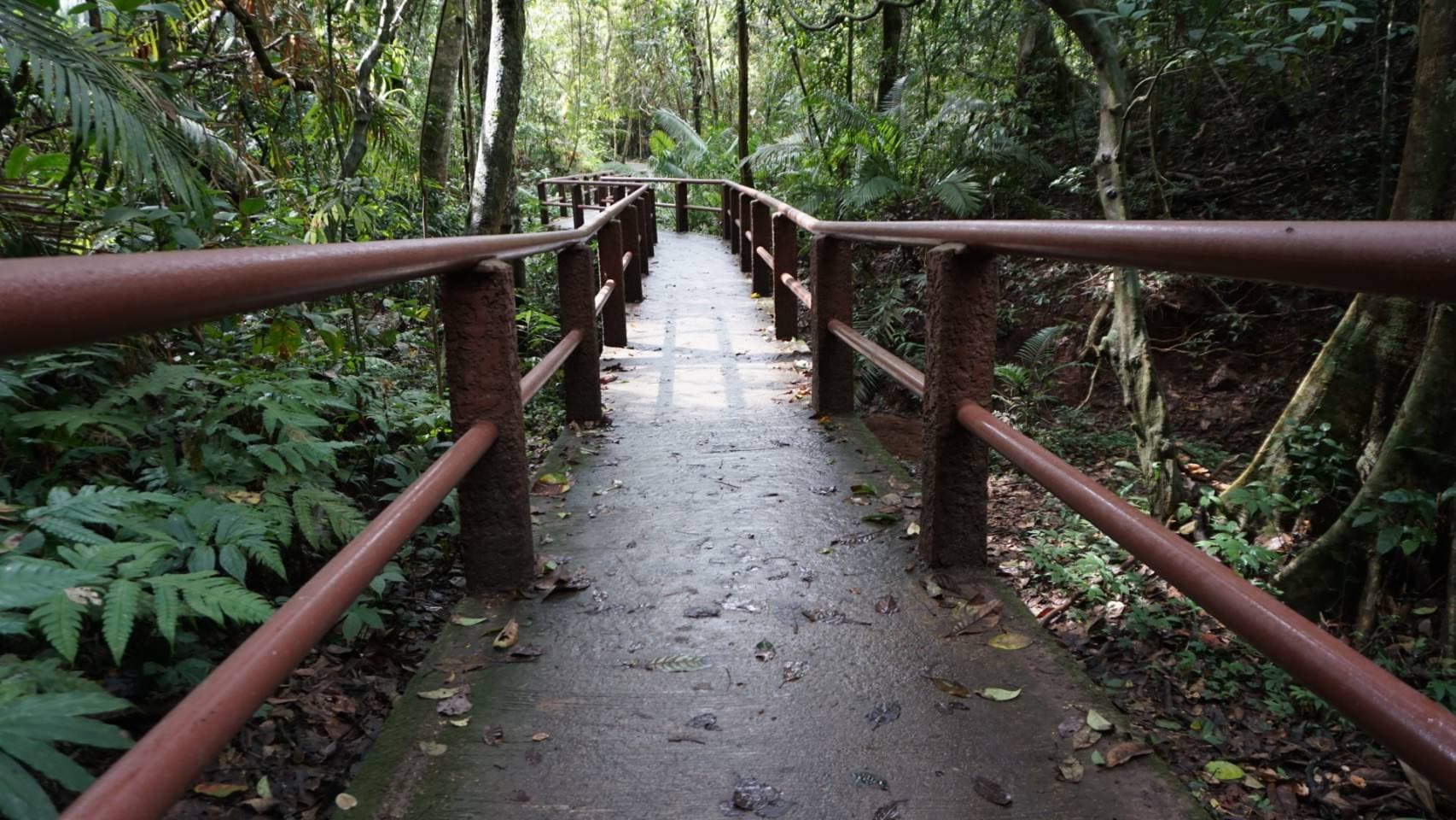 One Day Trip -Khao Yai National Park (UNESCO World Heritage) 14