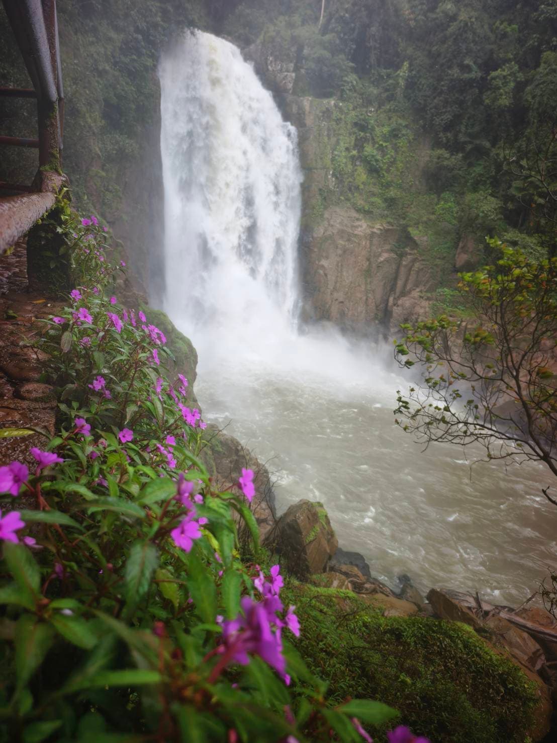 Khao Yai Experience (Unesco) World Heritage. 9