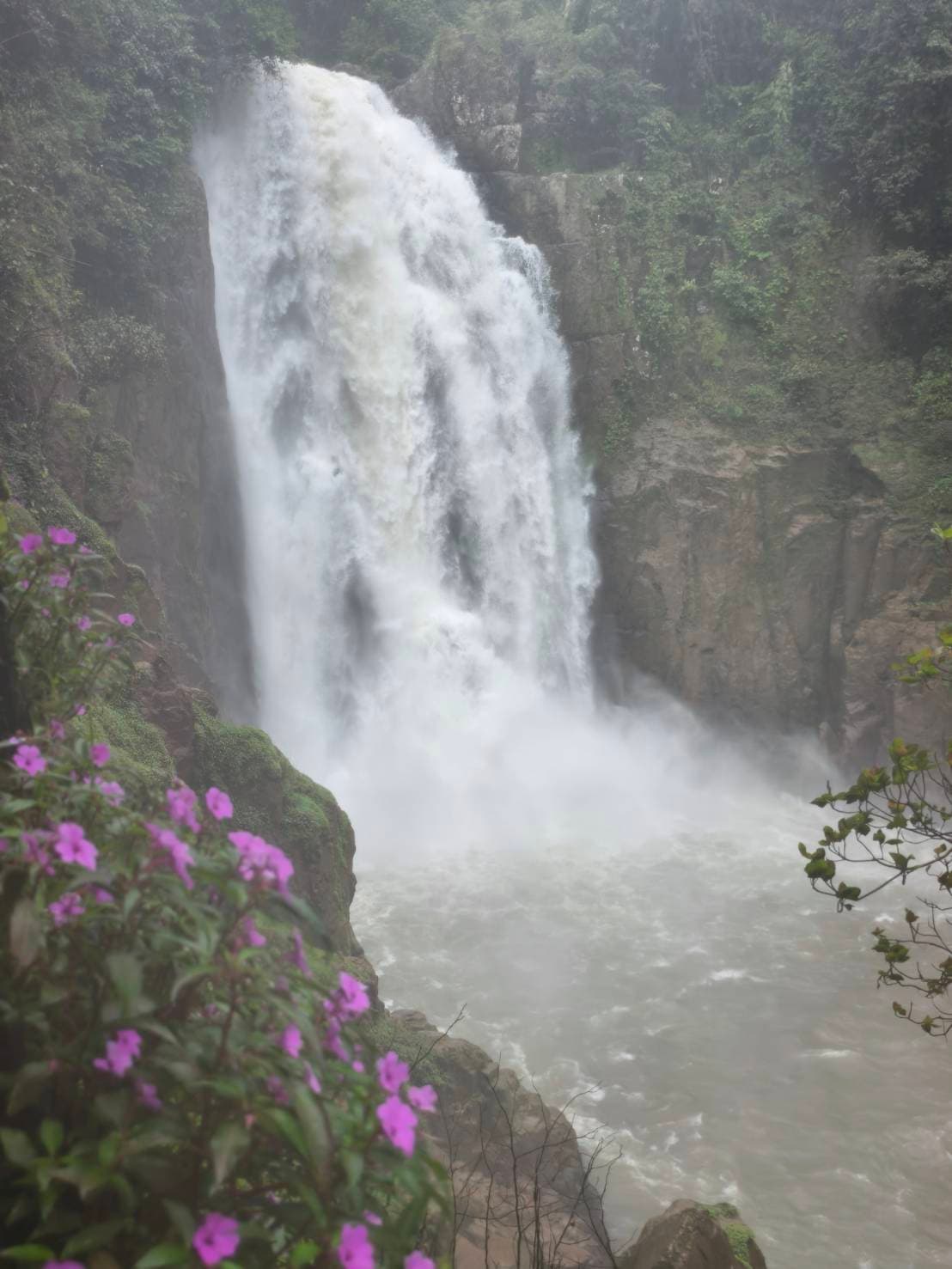 Khao Yai Experience (Unesco) World Heritage. 14