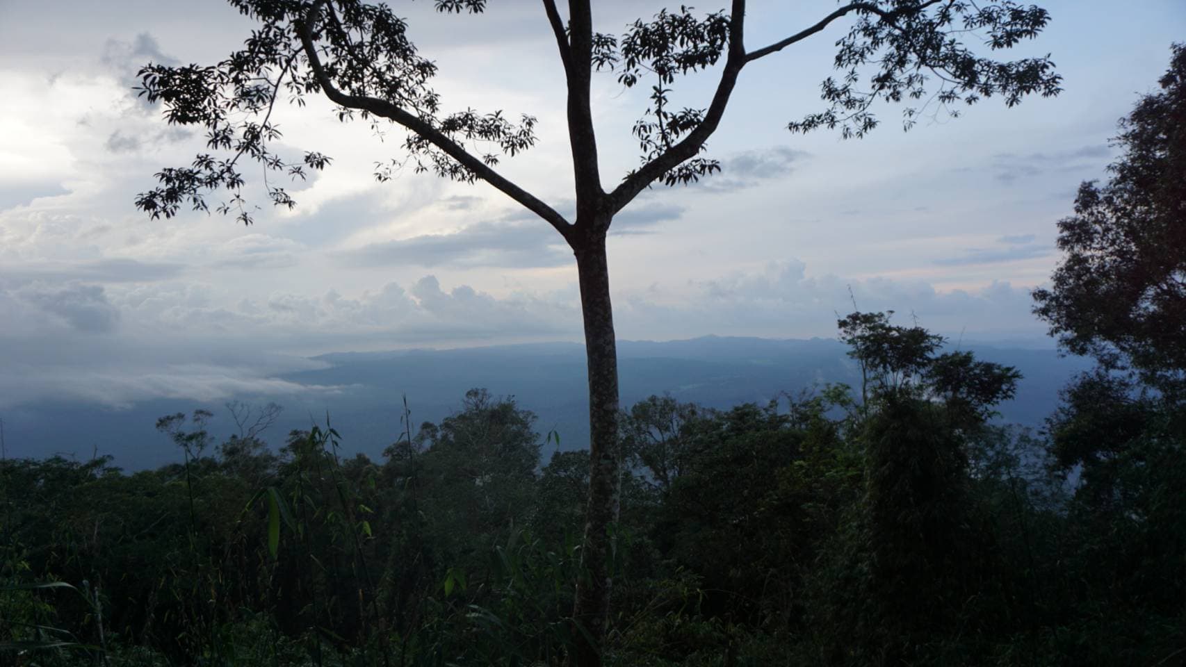 Khao Yai Experience (Unesco) World Heritage. 58