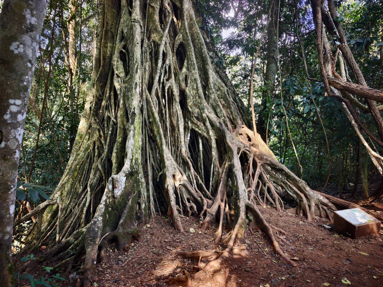 Khao Yai Experience (Unesco) World Heritage. 60