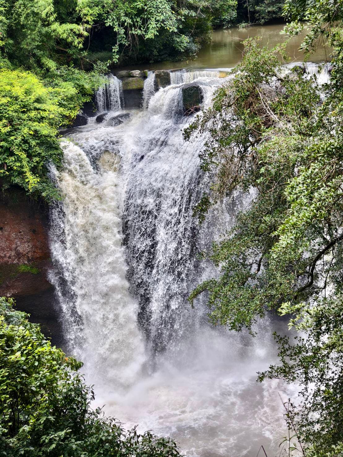 Bangkok → Khao Yai National Park (UNESCO World Heritage experience) One Day Trip 3