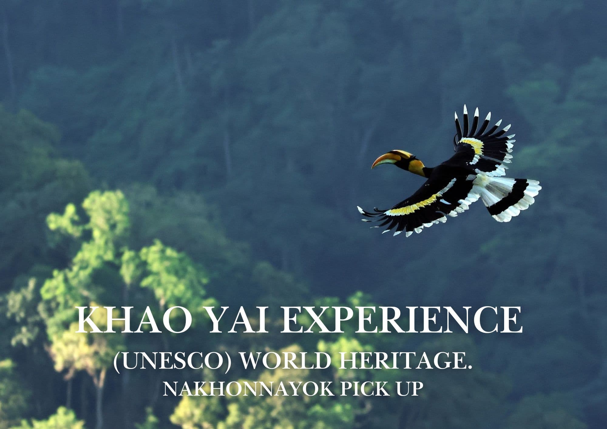 Nakhon Nayok → Khao Yai National Park (UNESCO World Heritage experience) One Day Trip