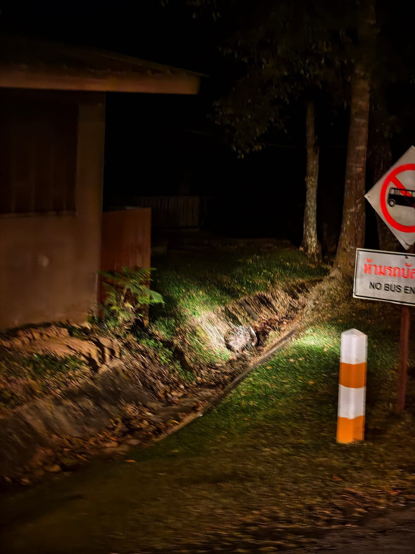 Wildlife watching tips in Khao Yai